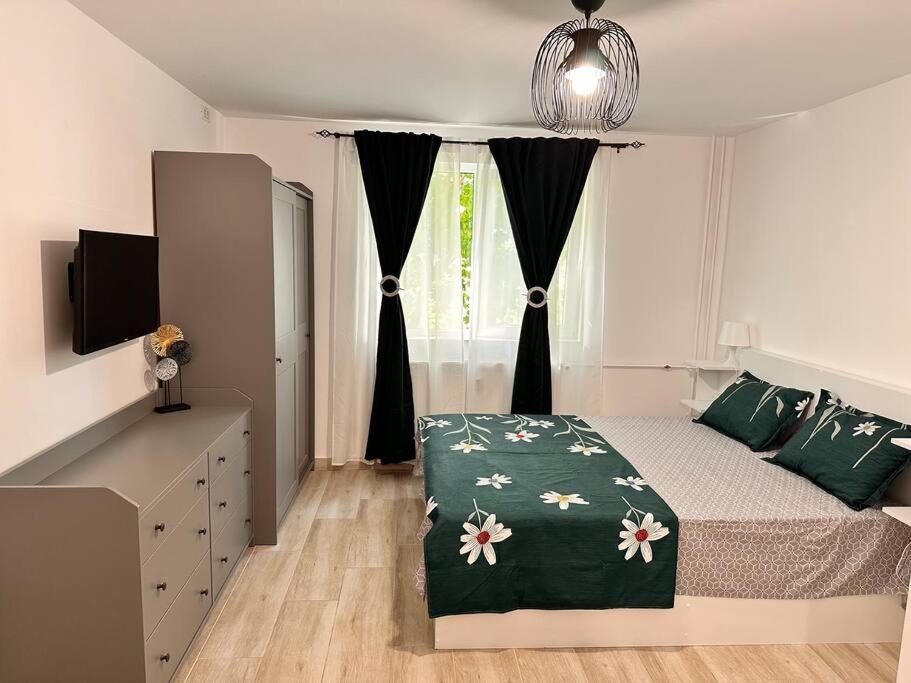 Apartament Luna Apartament Timișoara Zewnętrze zdjęcie